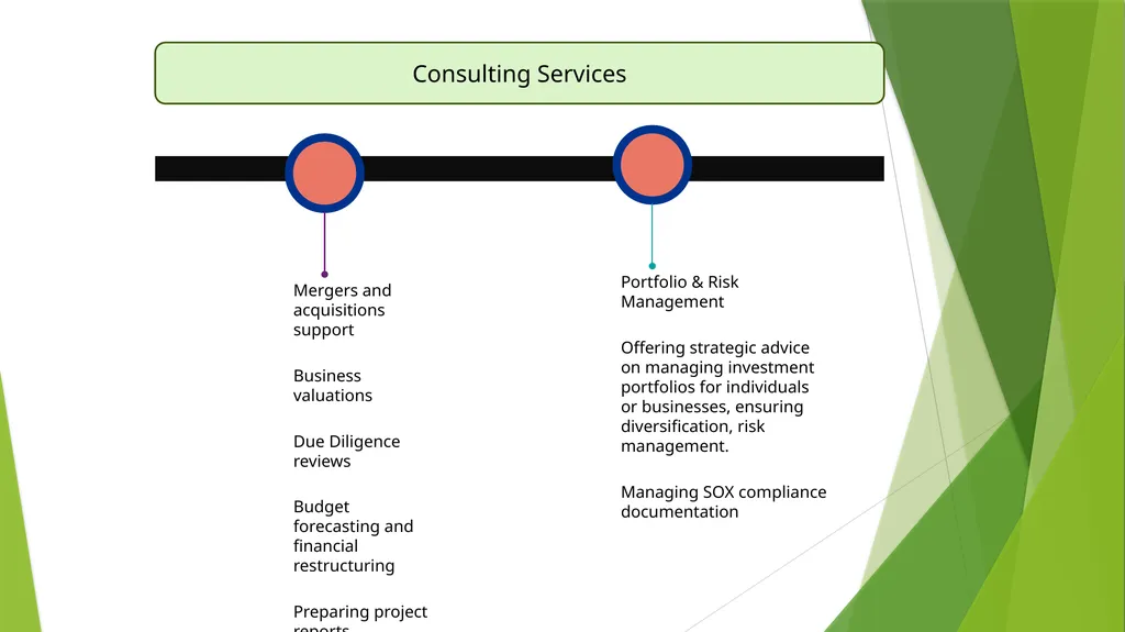 Opportunities for Chartered Accountants in - slide 10 of 13