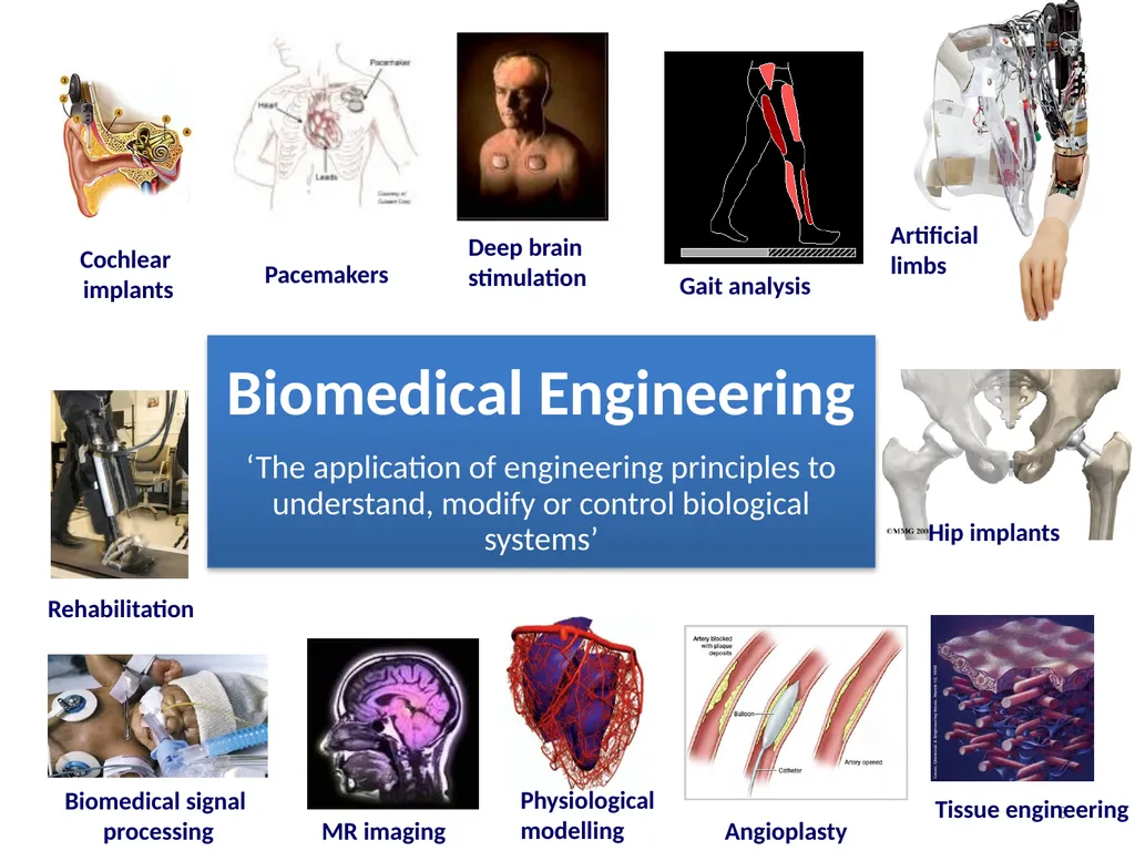 Biomedical Engineering 2014 Dr Eoin O’Cearbhaill - slide 3 of 15