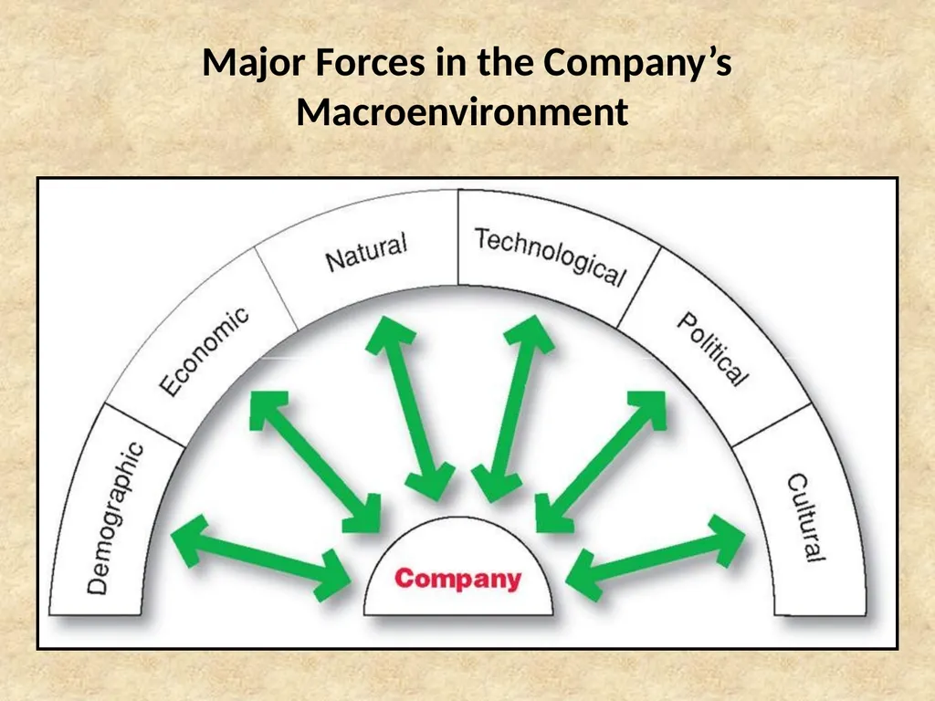 B.Sc. Management Specialization Degree Programme - slide 14 of 29