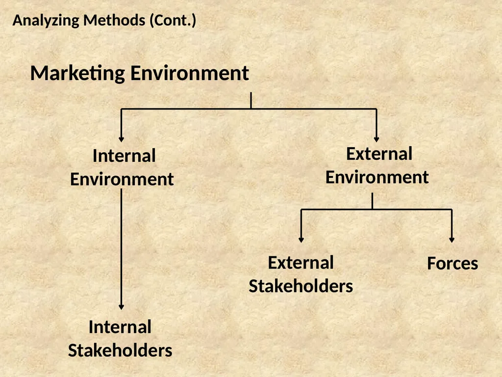 B.Sc. Management Specialization Degree Programme - slide 6 of 29