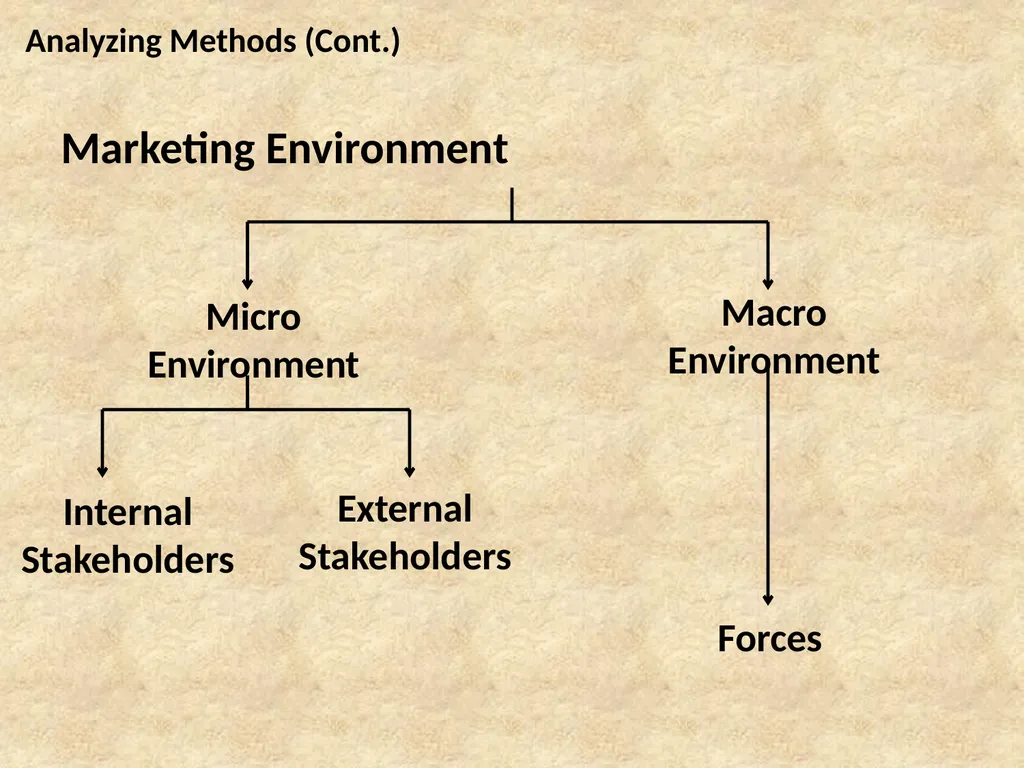 B.Sc. Management Specialization Degree Programme - slide 7 of 29