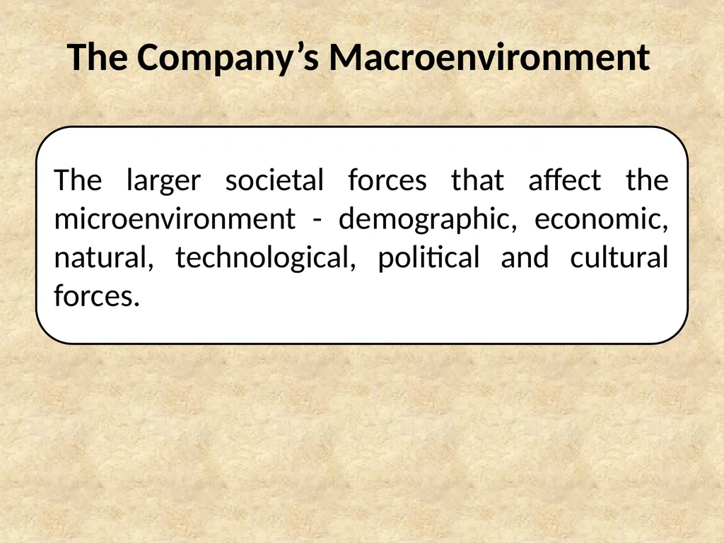 B.Sc. Management Specialization Degree Programme - slide 13 of 29