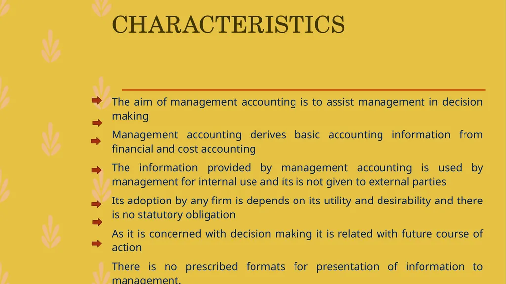 MANAGEMENT ACCOUNTING -An Introduction - slide 10 of 19