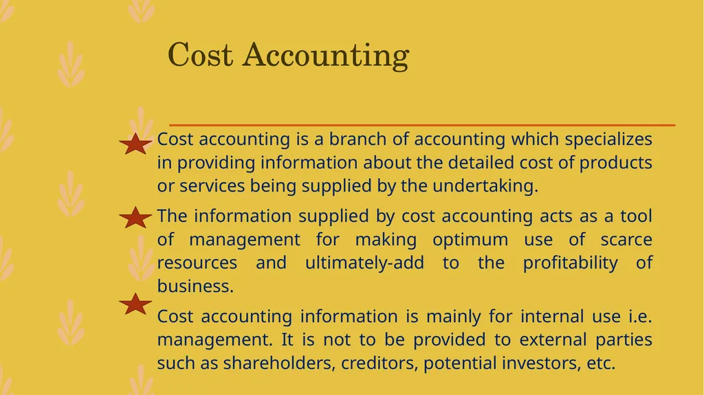 MANAGEMENT ACCOUNTING -An Introduction - slide 4 of 19