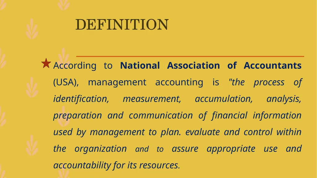 MANAGEMENT ACCOUNTING -An Introduction - slide 6 of 19
