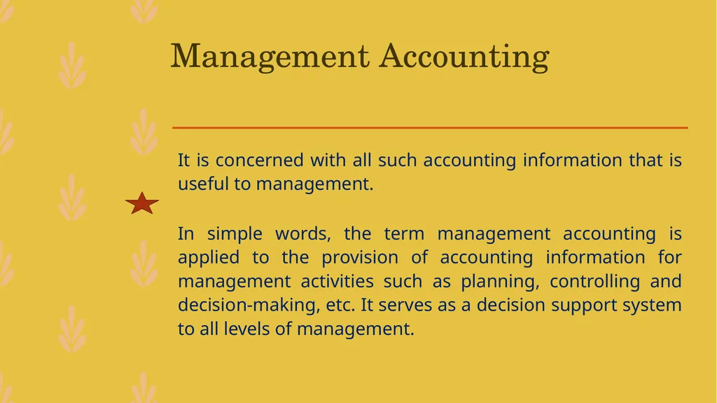 MANAGEMENT ACCOUNTING -An Introduction - slide 5 of 19