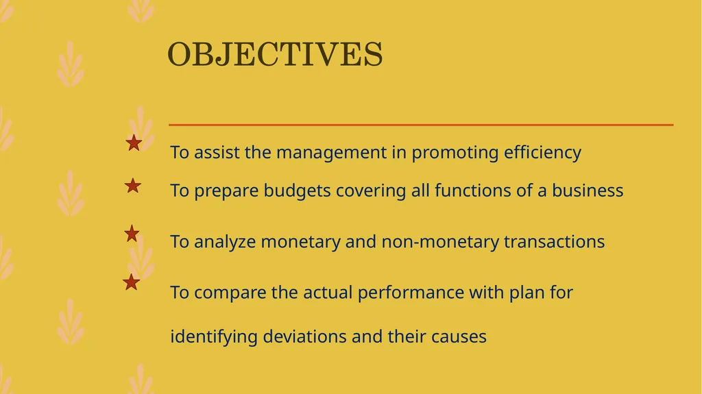 MANAGEMENT ACCOUNTING -An Introduction - slide 8 of 19