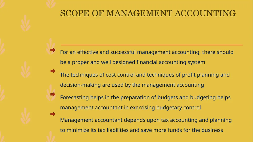 MANAGEMENT ACCOUNTING -An Introduction - slide 11 of 19