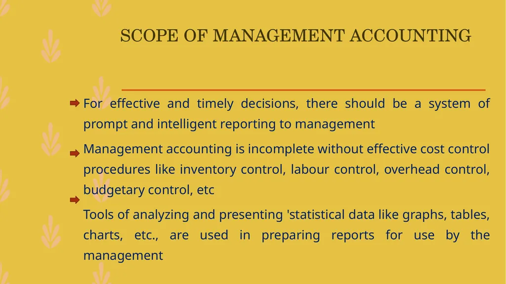 MANAGEMENT ACCOUNTING -An Introduction - slide 12 of 19