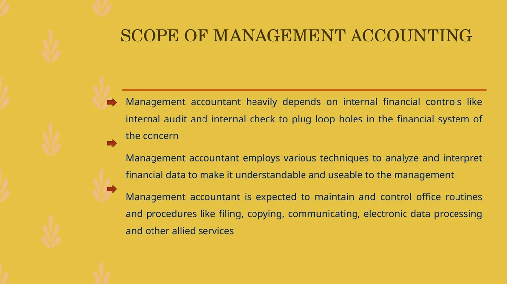 MANAGEMENT ACCOUNTING -An Introduction - slide 13 of 19