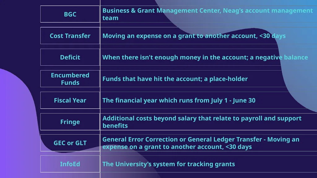 NAVIGATING YOUR NEAG FINANCIAL ACCOUNTS Reviewing - slide 8 of 30