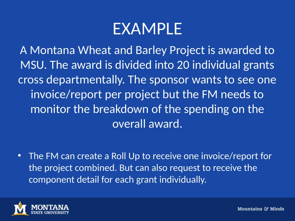 GRANT BILLING Background Grant Billing is a tool - slide 18 of 18