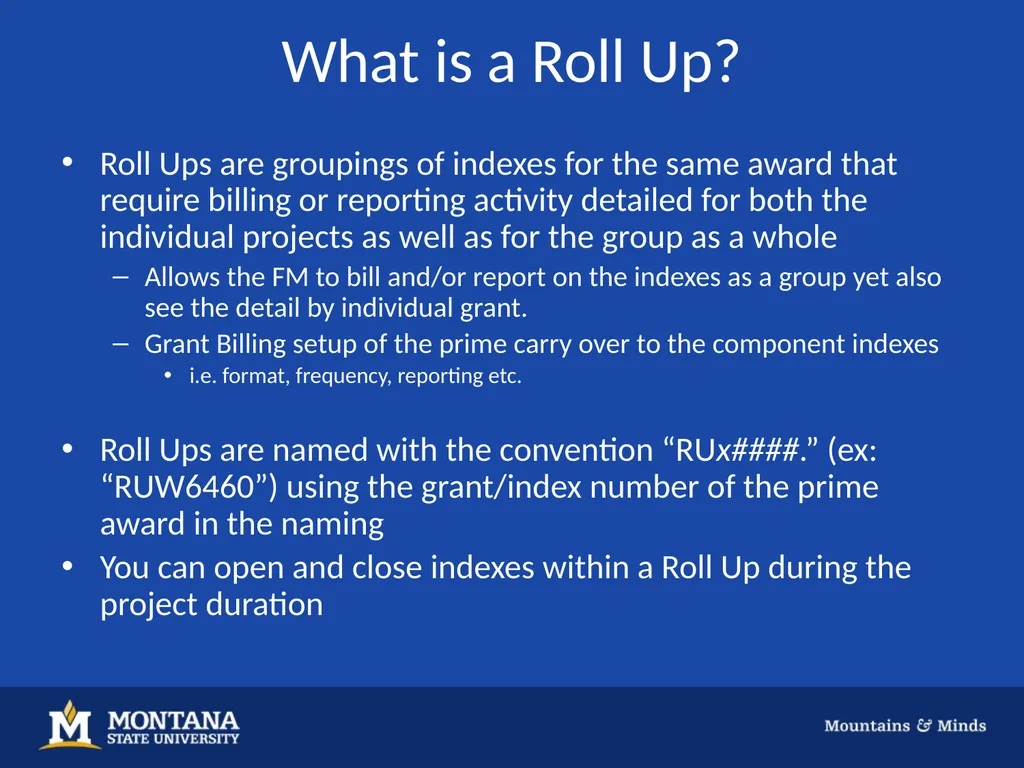 GRANT BILLING Background Grant Billing is a tool - slide 17 of 18