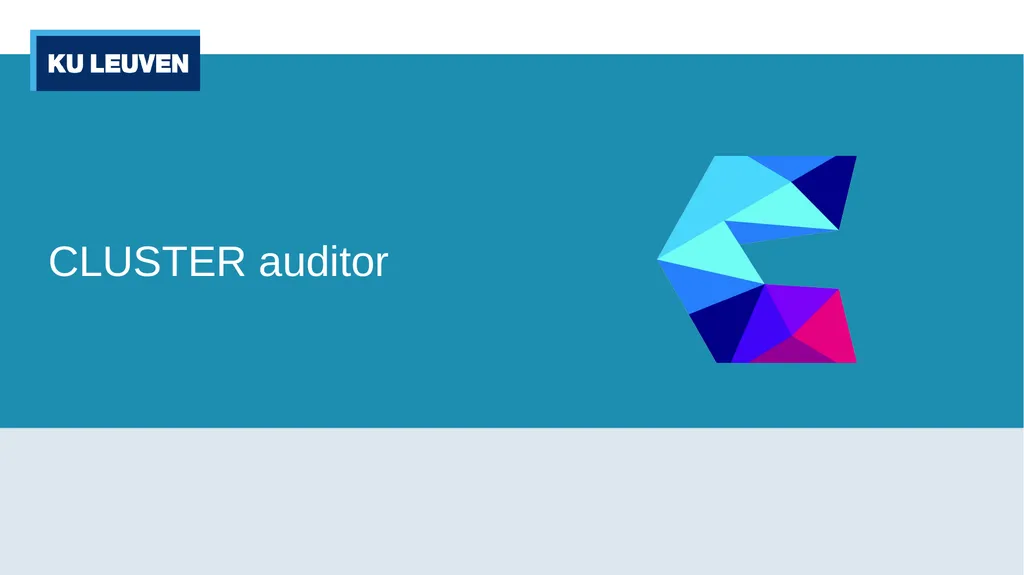 CLUSTER auditor 2 External ‘The Big 4’ Ernst & - slide 1 of 4