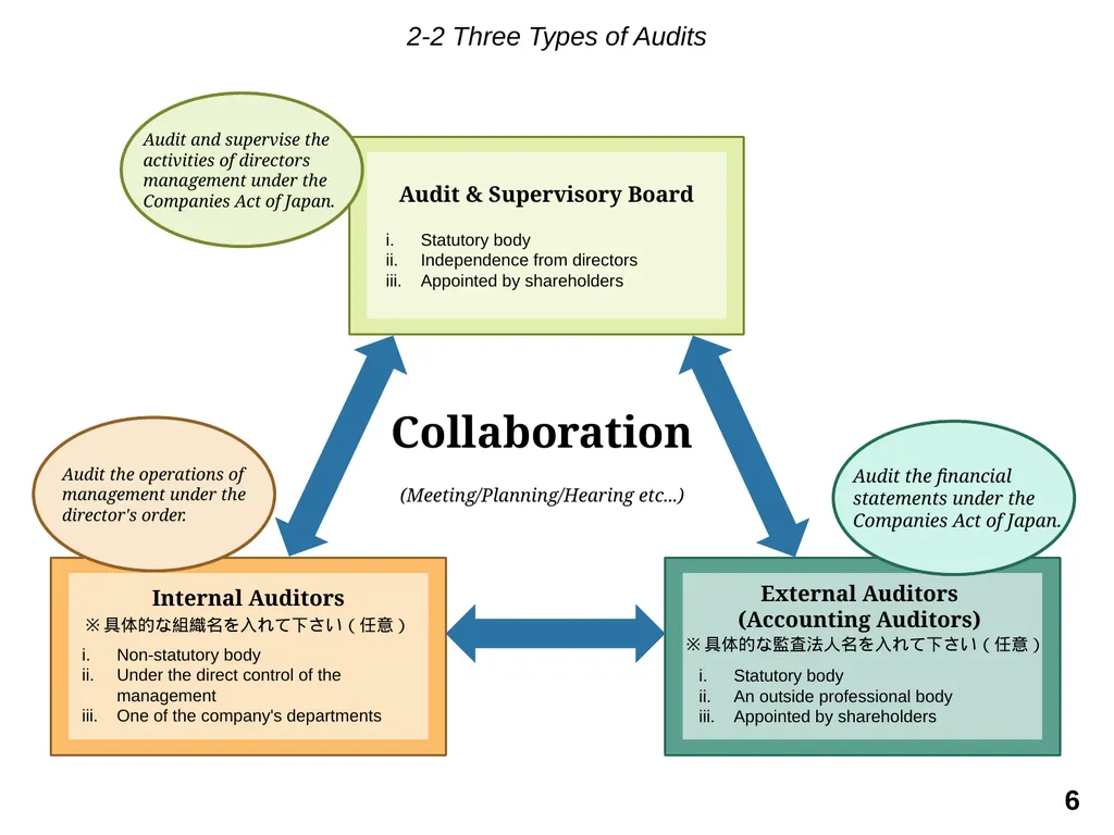 THE AUDIT & SUPERVISORY BOARD MEMBERS: A BRIEF - slide 6 of 9