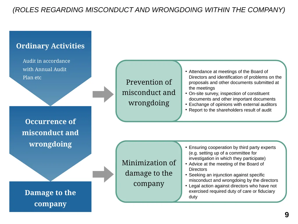 THE AUDIT & SUPERVISORY BOARD MEMBERS: A BRIEF - slide 9 of 9