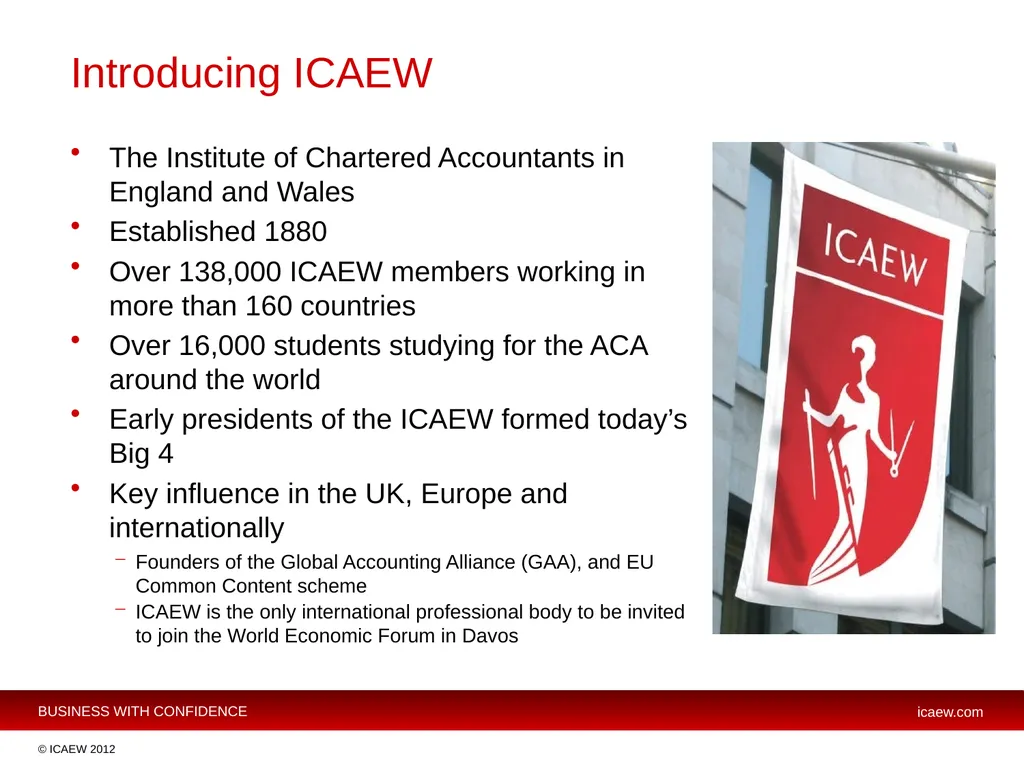 Michael Izza Chief Executive ICAEW Cross Border - slide 2 of 17