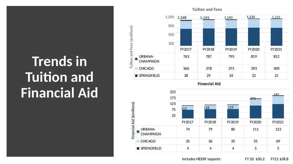 Financial Summary Board of Trustees Presentation - slide 10 of 21