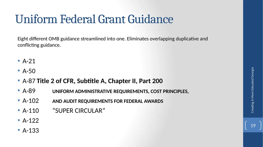 Fiscal Affairs Accounting and Reporting Update - slide 19 of 30