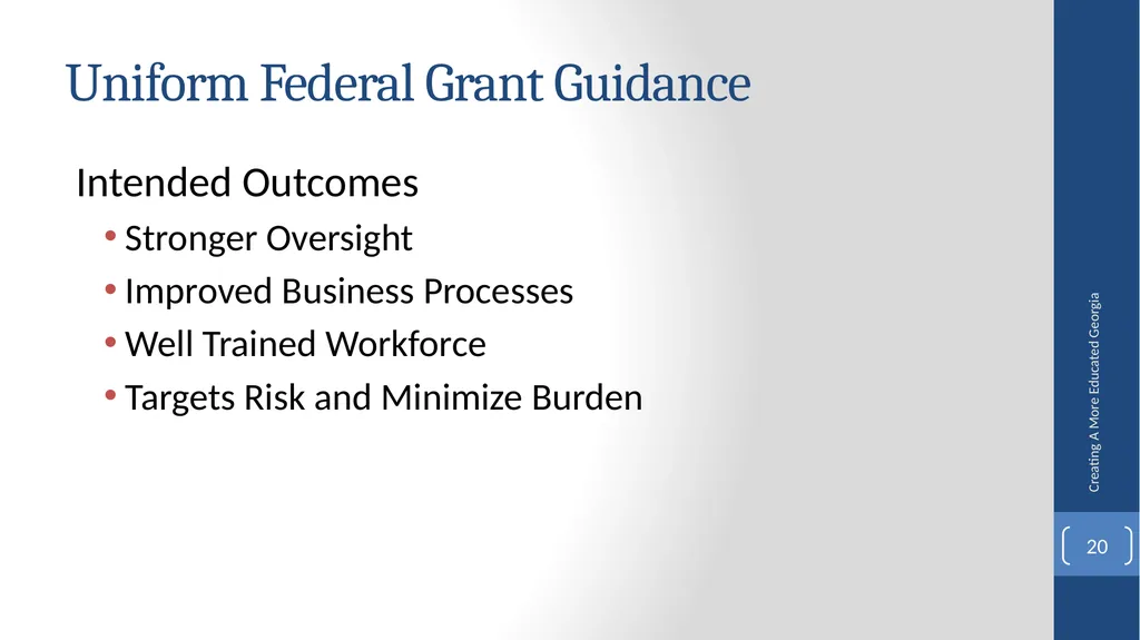 Fiscal Affairs Accounting and Reporting Update - slide 20 of 30