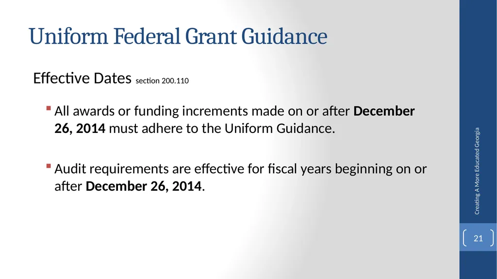 Fiscal Affairs Accounting and Reporting Update - slide 21 of 30