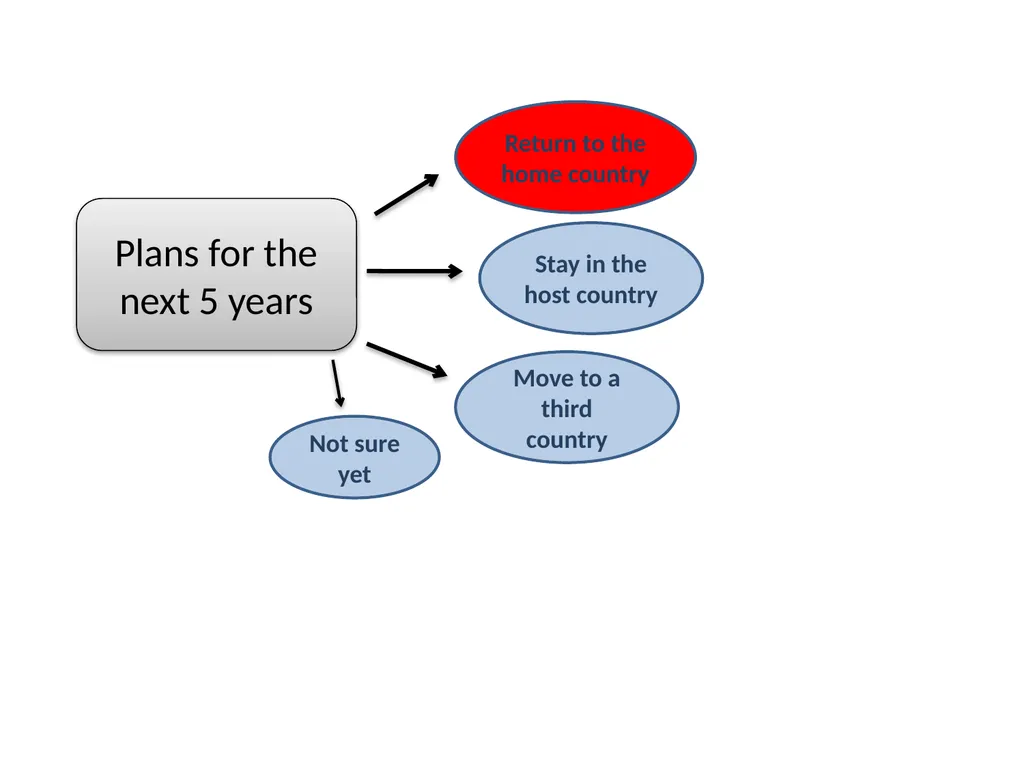 Experiences in host countries and return plans: - slide 11 of 20