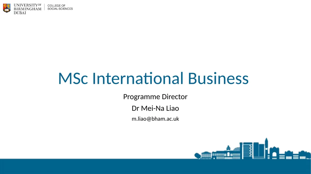 MSc International Business Programme Director Dr