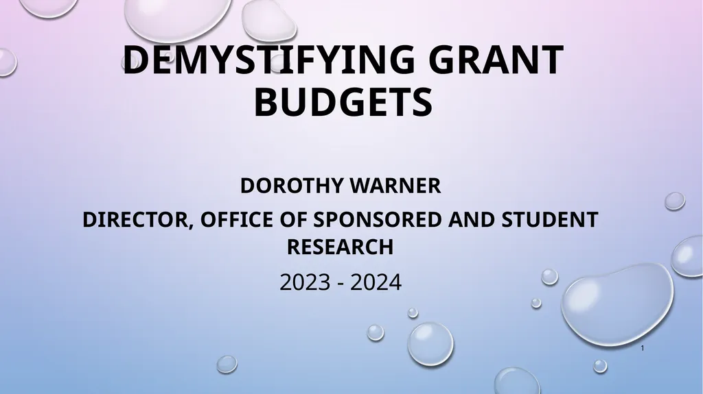 Demystifying Grant BudgetS Dorothy Warner - slide 1 of 13