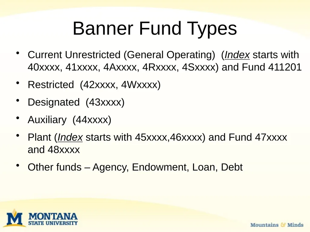 Budget Basics & MSU Funding Sources Financial - slide 3 of 47