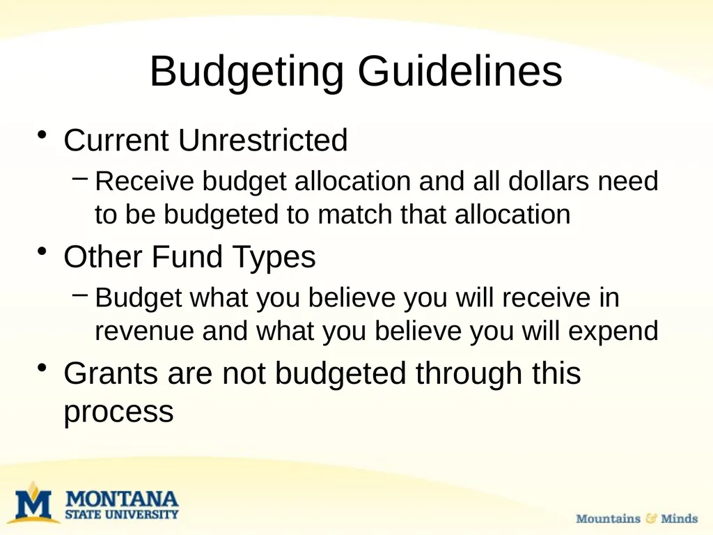 Budget Basics & MSU Funding Sources Financial - slide 11 of 47