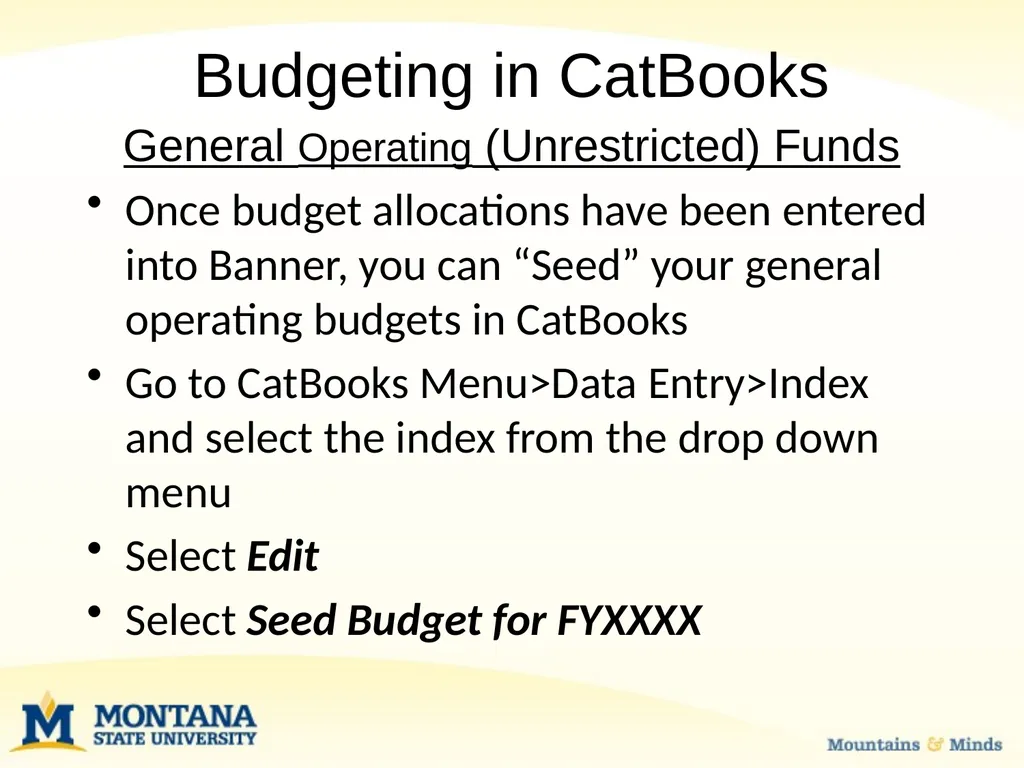 Budget Basics & MSU Funding Sources Financial - slide 24 of 47