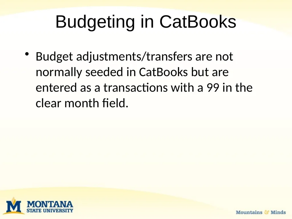 Budget Basics & MSU Funding Sources Financial - slide 29 of 47