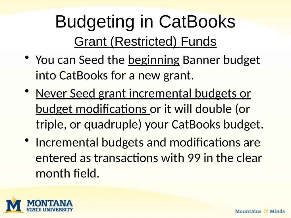 Budget Basics & MSU Funding Sources Financial - slide 30 of 47