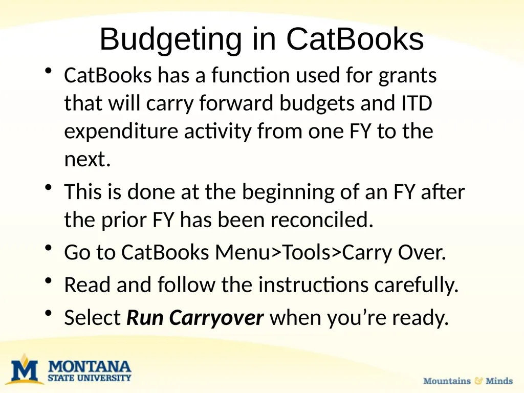 Budget Basics & MSU Funding Sources Financial - slide 31 of 47
