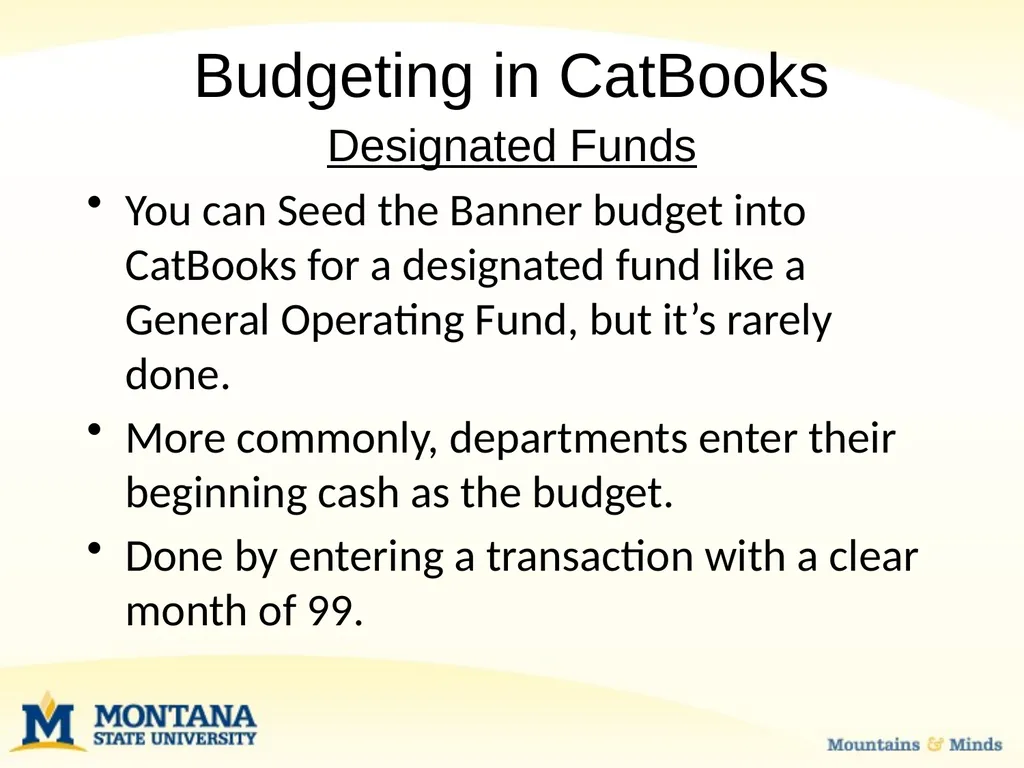 Budget Basics & MSU Funding Sources Financial - slide 33 of 47
