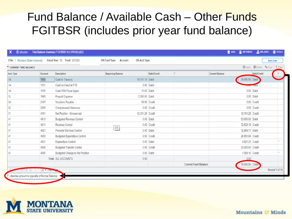 Budget Basics & MSU Funding Sources Financial - slide 23 of 47