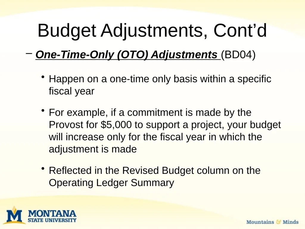 Budget Basics & MSU Funding Sources Financial - slide 19 of 47