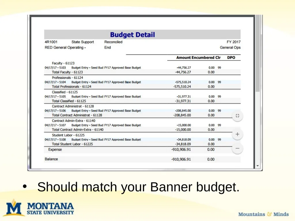 Budget Basics & MSU Funding Sources Financial - slide 28 of 47