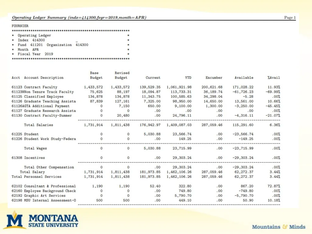 Budget Basics & MSU Funding Sources Financial - slide 21 of 47