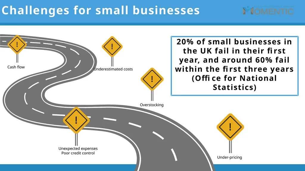 The Momentic Self Employment Service …….enabling - slide 4 of 21