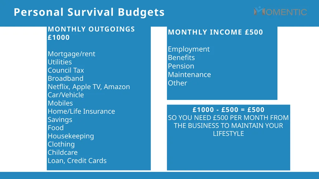 The Momentic Self Employment Service …….enabling - slide 11 of 21