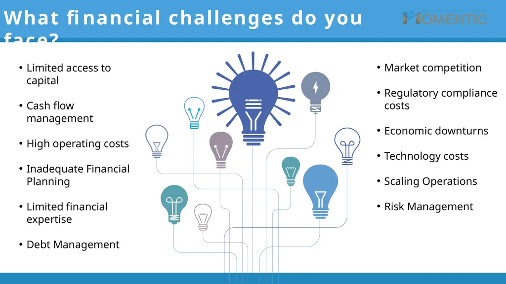 The Momentic Self Employment Service …….enabling - slide 5 of 21