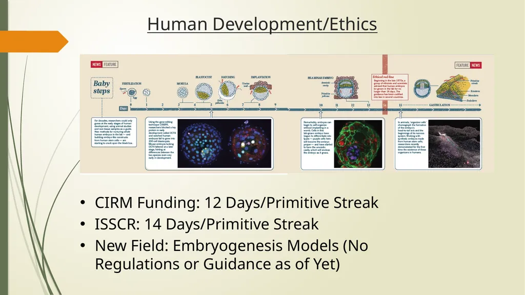 Research Administration Forum March 19, 2019 - slide 13 of 24