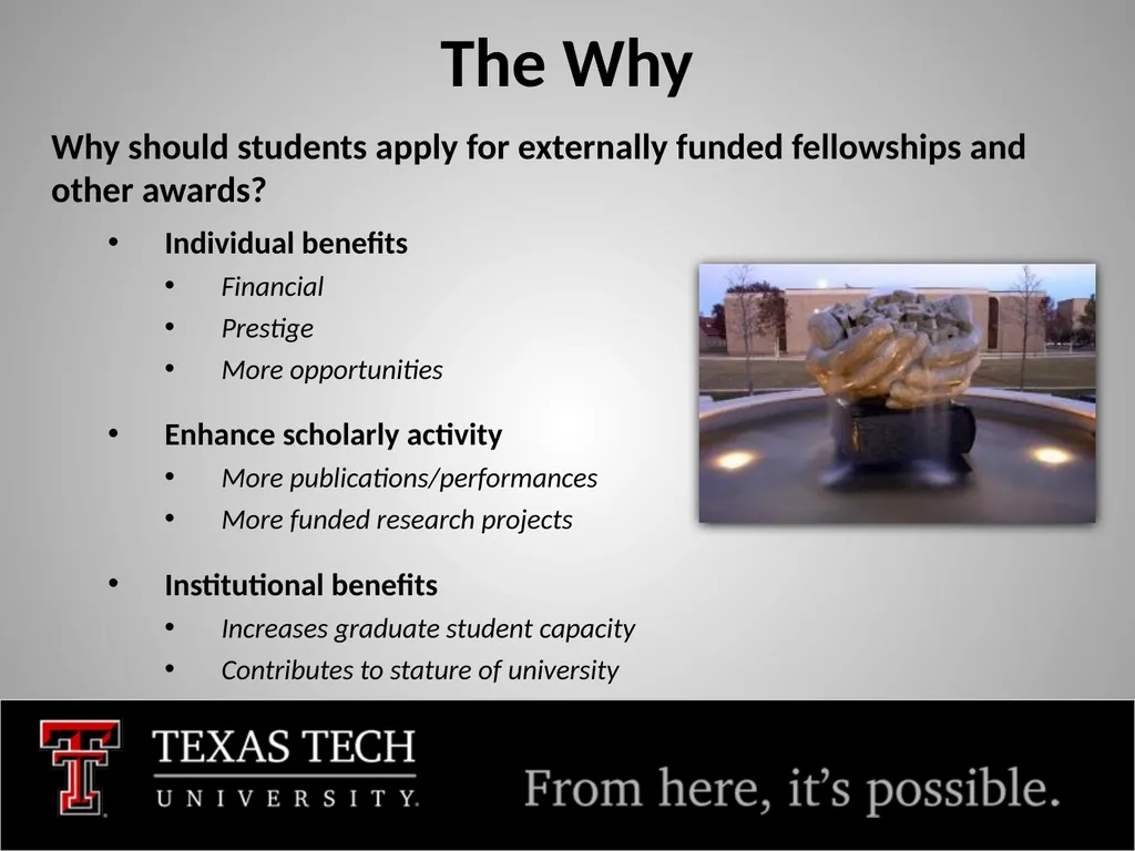 Fellowships and Funding FY 2025 Tim Dallas, PhD - slide 4 of 28