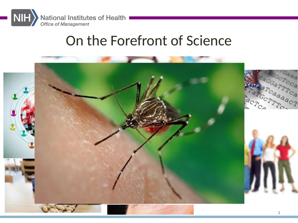 Research and Development Contracts Richard - slide 3 of 42