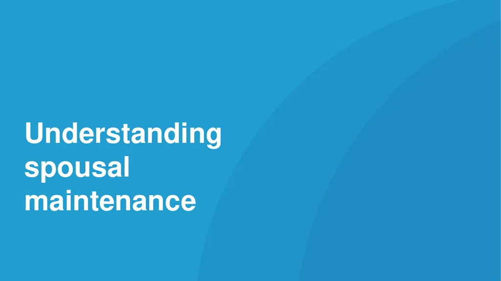 Family Law Remedies to Address Financial Abuse: - slide 14 of 46