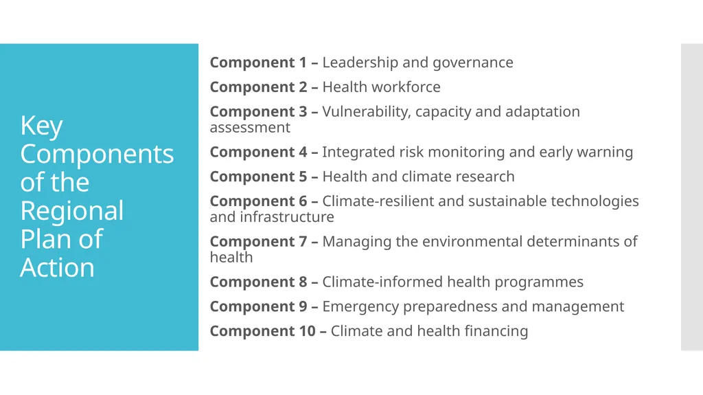 Regional Plan of Action for Implementing the WHO - slide 3 of 8