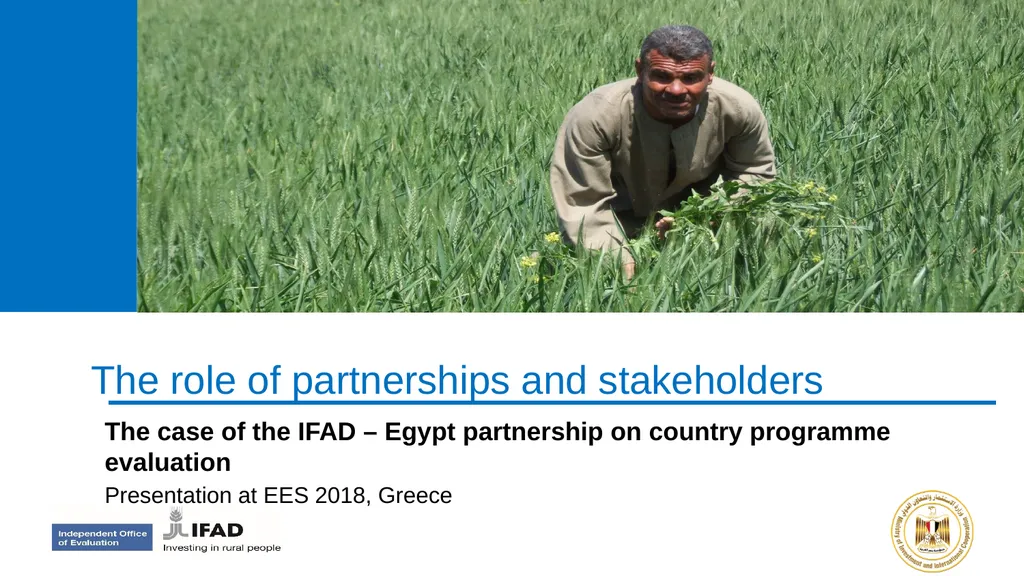 The role of partnerships and stakeholders The case