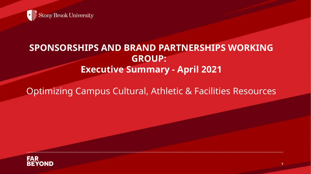 SPONSORSHIPS AND BRAND PARTNERSHIPS WORKING GROUP: