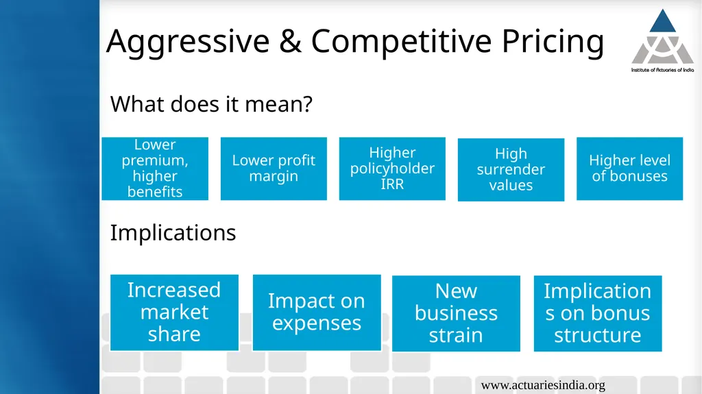 Product design & pricing for small & new company - slide 20 of 30